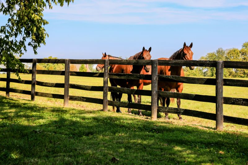 Horse Fence Replacement in Roseville, CA
