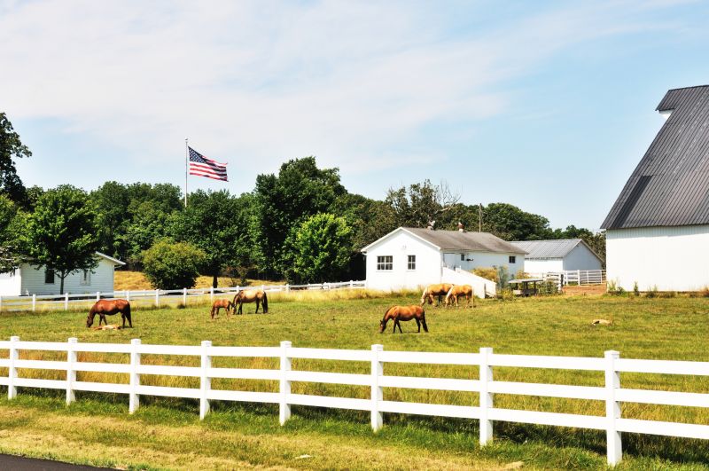 Horse Fence Replacement in Pearland, TX